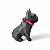 Coleira para cachorros com Tag QR Code Neon Rosa - Imagem 4