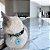 Coleira para Gatos com Tag QR Code Breakaway Anti-Enforcamento Vemelho - Imagem 5