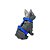Kit 4 peças Passeio completo para cachorros Azul Royal - Imagem 6
