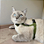Peitoral para Gatos ou Cães Raça Mini com Guia Verde Militar - Imagem 1