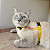 Peitoral para Gatos ou Cães Raça Mini com Guia Amarelo - Imagem 1