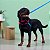 Kit Peitoral Y Antipuxão para cachorros com Coleira e Guia Tutti - Imagem 1