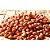 Amendoim Cru Sem Casca Branco Graúdo Runner Premium 500g - Imagem 2