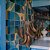 Penca Decorativa Artesanal com 5 Bananas em Madeira - Imagem 14