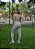Conjunto Fitness Feminino Blackout Bege - Imagem 3