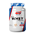 WHEY US BAUNILHA 100%PROTEIN - Imagem 1