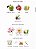 Mayar nature intence 5ML - Imagem 2