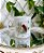Caneca de porcelana Escola do Serviço de Pioneiro Rosas Brancas - 4 Estampas - Imagem 1