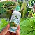 FWZ - Fungicida Natural a base de Cobre - Imagem 4