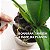 Fertilizante Pronto Uso Orquídeas Manutenção - 500ml - Imagem 3