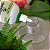 Adubo Líquido para Samambaias, folhagens, jardins, frutíferas e hortaliças Hydroverde - Hydrofert - 110ml - Imagem 3