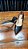 Scarpin Preto Textura Croquinho Salto Alto - Imagem 4