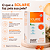 Solarie + Pinus Pinaster - Antioxidantes para Pele - 60 caps - Imagem 5