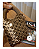 Bolsa Flay - Imagem 1