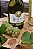 Vinho Sfizio Viognier 2021 750 ml - Imagem 3