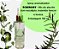 Aromatizadores de ambientes 100 ml - Rosemary - Imagem 1