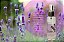 Aromatizadores de ambientes 100 ml - Lavanda - Imagem 1