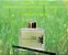 Difusor de aromas com varetas - Capim Limão - 100 ml - Imagem 1