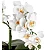 Arranjo 4 Hastes Orquídea Flor Artificial Decoração Realista - Imagem 4