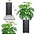 Planta Artificial Costela De Adão Grande + Vaso Decorativo - Imagem 3