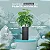 Planta Artificial Costela De Adão Grande + Vaso Decorativo - Imagem 2