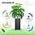 Planta Artificial Costela De Adão Grande + Vaso Decorativo - Imagem 6