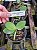Phalaenopsis amabilis - Imagem 3