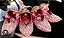 Bulbophyllum frostii - Imagem 1