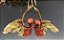 Coryanthes macrantha - Imagem 1