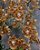 Trichocentrum undulatum - Imagem 2