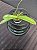Phalaenopsis zebrina - Imagem 3