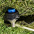 Carretel Automatico Para Rocadeira Husqvarna 143RII e Outras - Imagem 5