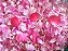 Hidrolato: Água de Rosas - 500 ml - Imagem 2