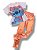 Conjunto Infantil Menina Stitch - Imagem 4