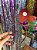 TIARA CARNAVAL LOCALIZAÇÃO - Imagem 1