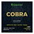 Encordoamento Viola Caipira Giannini Cobra Gesvnm Aço Níckel - Imagem 1