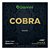 Encordoamentos Para Ukulele Giannini Cobra Soprano Concert - Imagem 1