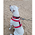 coleira k9 vermelha - Imagem 2