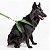 Peitoral Porte Grande Animal Zen - Imagem 7