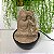 Fonte Decorativa Buda Marfim 3 Quedas com LED – Bivolt 13x18 - Imagem 5