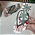 Kit 12 Pares Chinelo Feminino Havaianas UV Premium Sandalia de dedo Atacado - Imagem 8