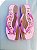 Kit 12 Pares Chinelo Feminino Havaianas Shine Sandalia de dedo Atacado - Imagem 1