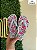 Kit 12 Pares Chinelo Infantil Havaianas Silk Menina Sandalia de dedo Kids Atacado - Imagem 7