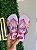 Kit 12 Pares Chinelo Infantil Havaianas Menina Sandalia de dedo Kids Atacado - Imagem 3