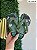 Kit 12 Pares Chinelo Infantil Havaianas Silk Menino Sandalia de dedo Kids Atacado - Imagem 9