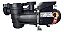 MOTOBOMBA SODRAMAR 1/2 CV (COM MOTOR WEG PLASTICO) BMP 50 MONO 220 V - Imagem 3
