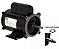 MOTOR WEG JET-PUMP 1/3 CV PALITO - Imagem 5