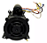 MOTOR WEG JET-PUMP 1,5 CV PALITO - Imagem 4