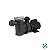 MOTOBOMBA SIBRAPE 1/4 CV (COM MOTOR WEG PALITO) - Imagem 1