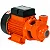 BOMBA PERIFÉRICA INTECH MACHINE 1,0 CV BP1000 BIVOLT - Imagem 3